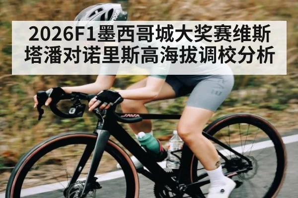2026F1墨西哥城大奖赛维斯塔潘对诺里斯高海拔调校分析