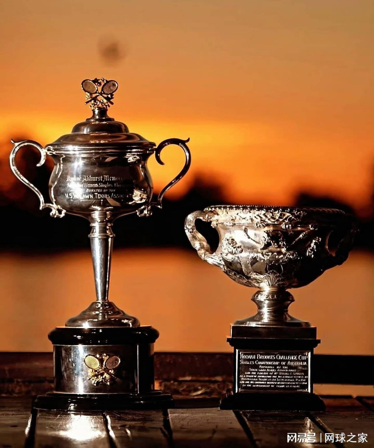 开云APP-德约轻取蒂亚福打破伤退谣言，辛纳、萨巴领衔澳网男女单夺冠赔率