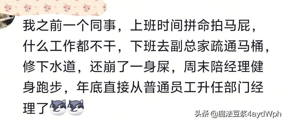 过分谄媚会显得特别真诚！网友：看完发现，我两千的工资一点不冤