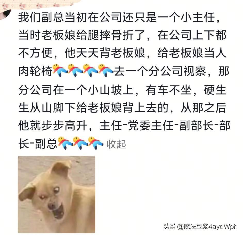 过分谄媚会显得特别真诚！网友：看完发现，我两千的工资一点不冤